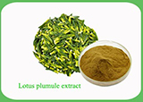 Lotus Plumule Extract.jpg