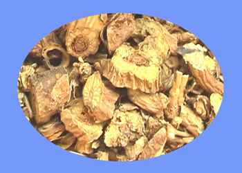 Trichosanthes Root (huang qin)