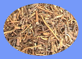 Gentian Root (long dan cao)