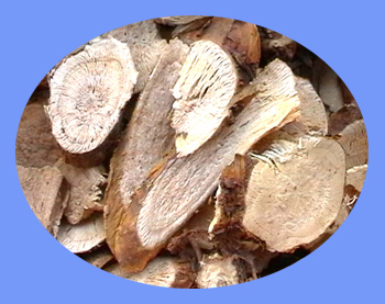 Flavescent Sophora Root (ku shen)