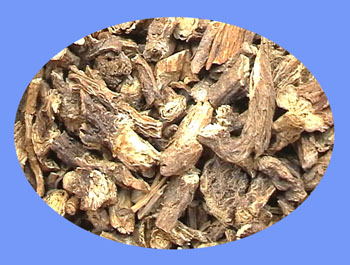 Pulsatilla Root (bai tou weng)