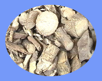 Subprostrate Sophora Root (shan dou gen)