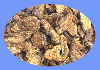 Atractylodes Rhizome (cang zhu)