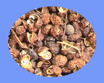 Pricklyash Peel (hua jiao)  