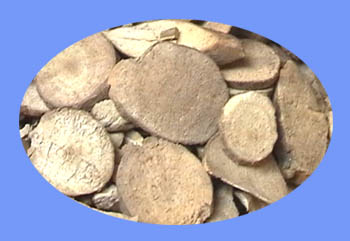 Lindera Root (wu yao)  