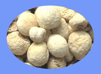 Pinellia Tuber (ban xia)