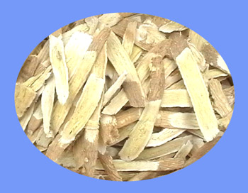 Astragalus Root (huang qi)