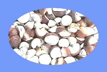 Gordon Euryale Seed (qian shi)