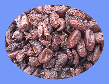 Dogwood Fruit (shan zhu yu)