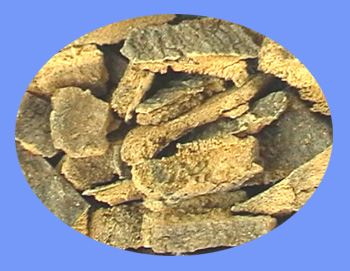 Ailanthus Bark (chun gen pi)