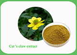Cat's claw extract