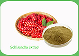 Schisandra Chinensis Extract /Schisandra Extract 