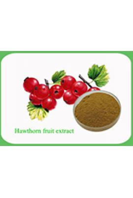 Hawthorn fruit Extract